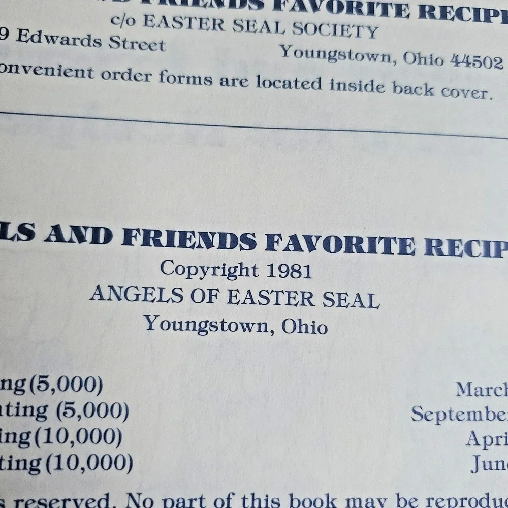Angels & Friends Favorite Recipes COOKBOOK 1981 Youngstown Ohio Vintage NOS New